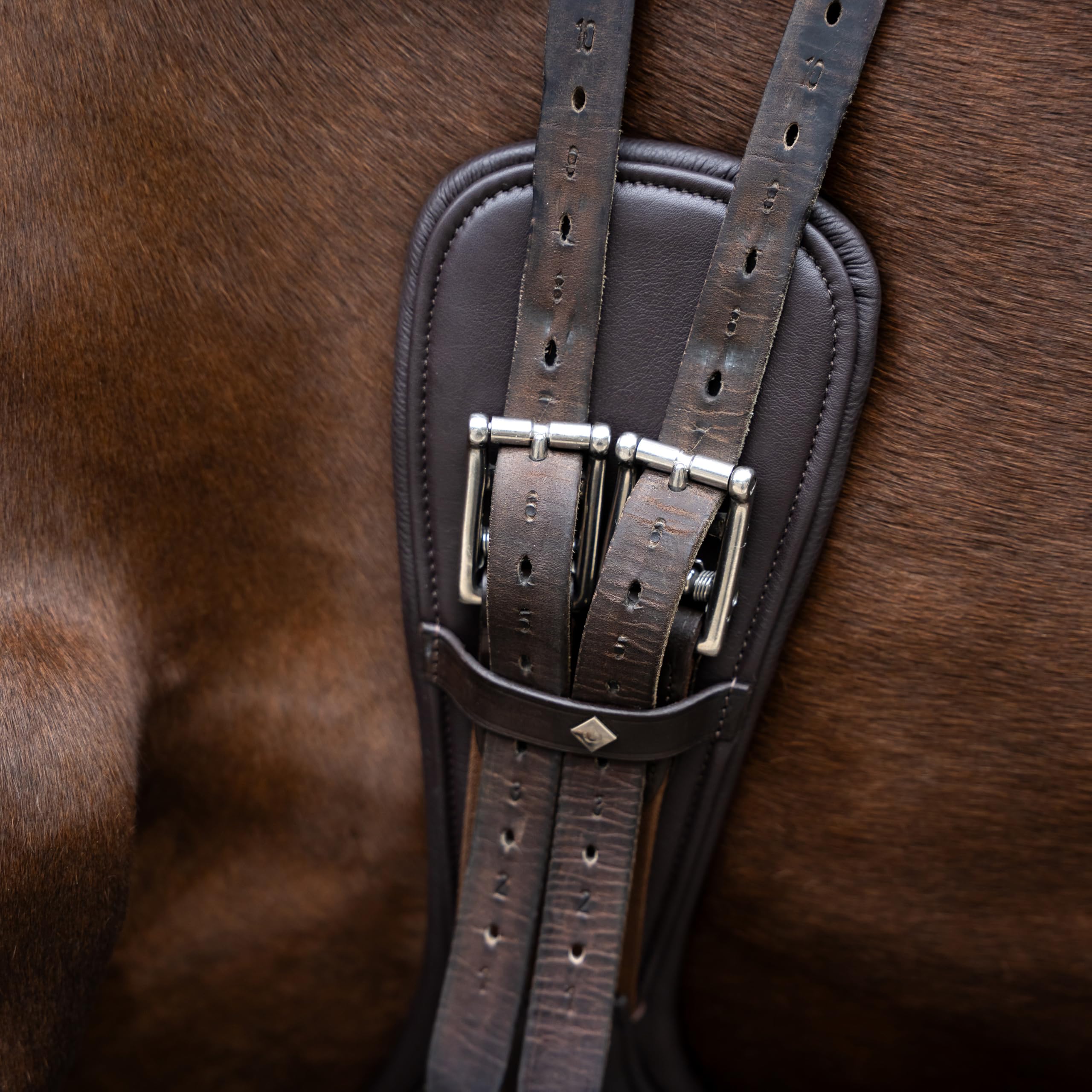 Imperial Riding Dressurgurt IRH anatomisch, Leder-Sattelgurt mit Rollenschnallen und D-Ring, Dunkelbraun, 80cm