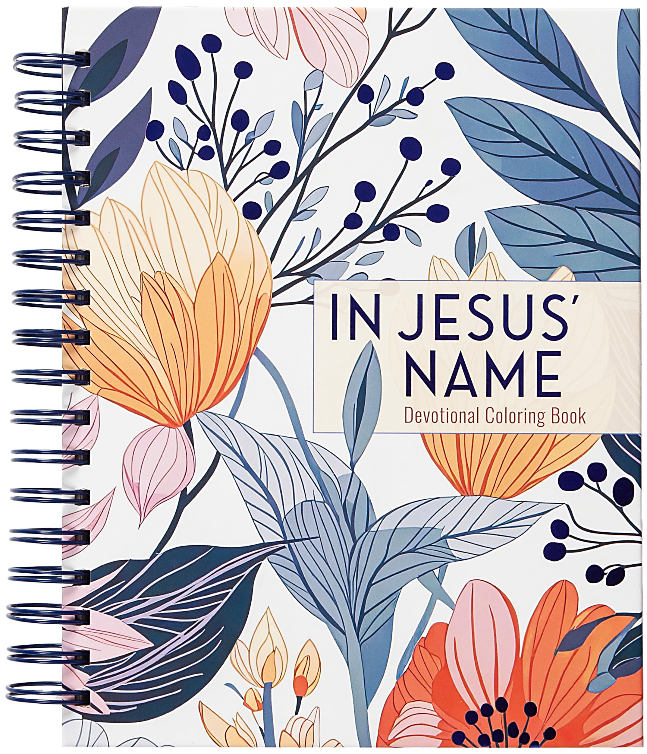 In Jesus' Name: Devotional Coloring Book