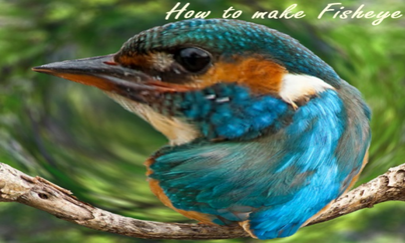 How to make Fisheye - App on Amazon Appstore