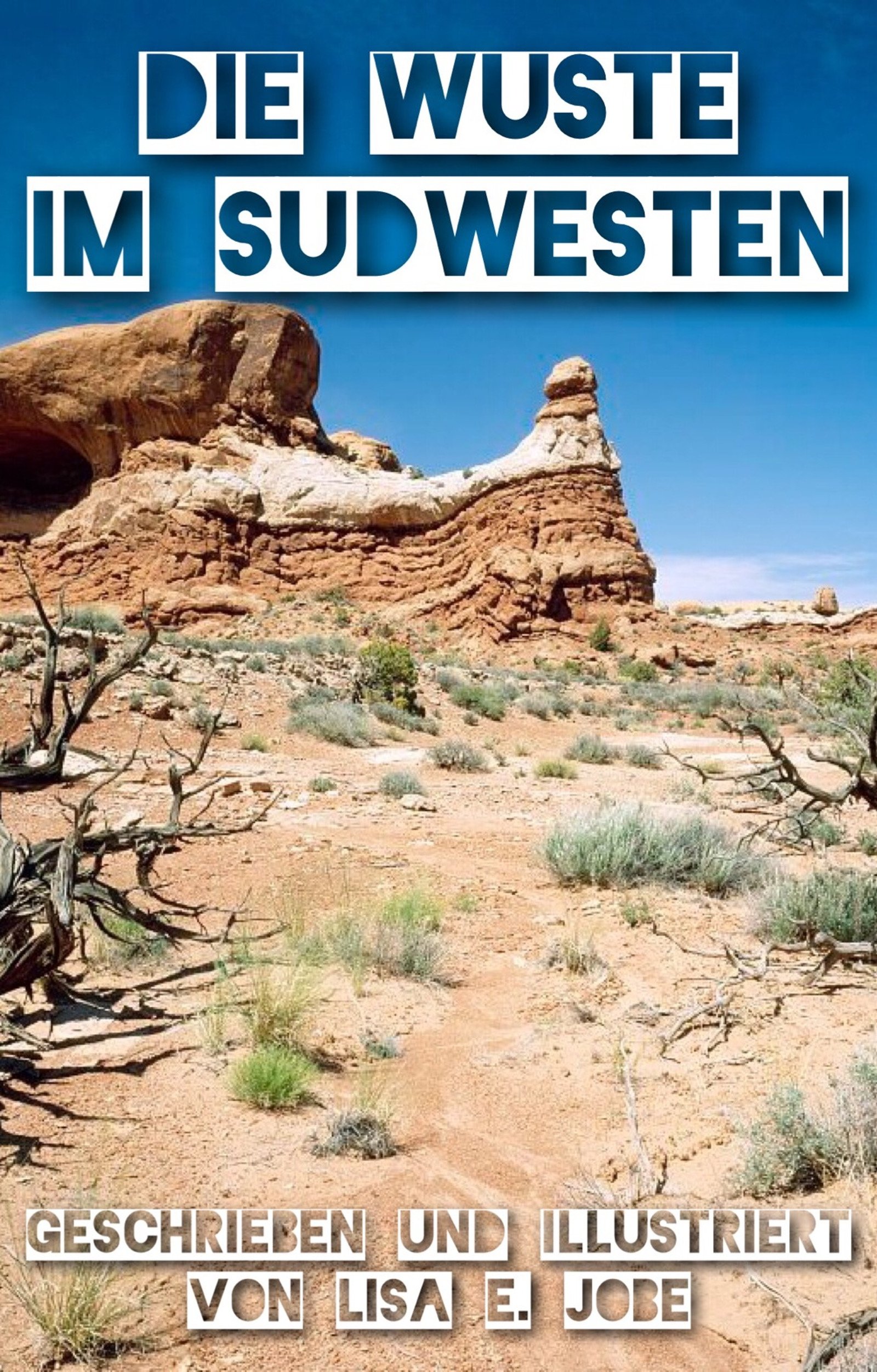Die Wüste Im Südwesten (Die Natur-Reihe 3) (German Edition)