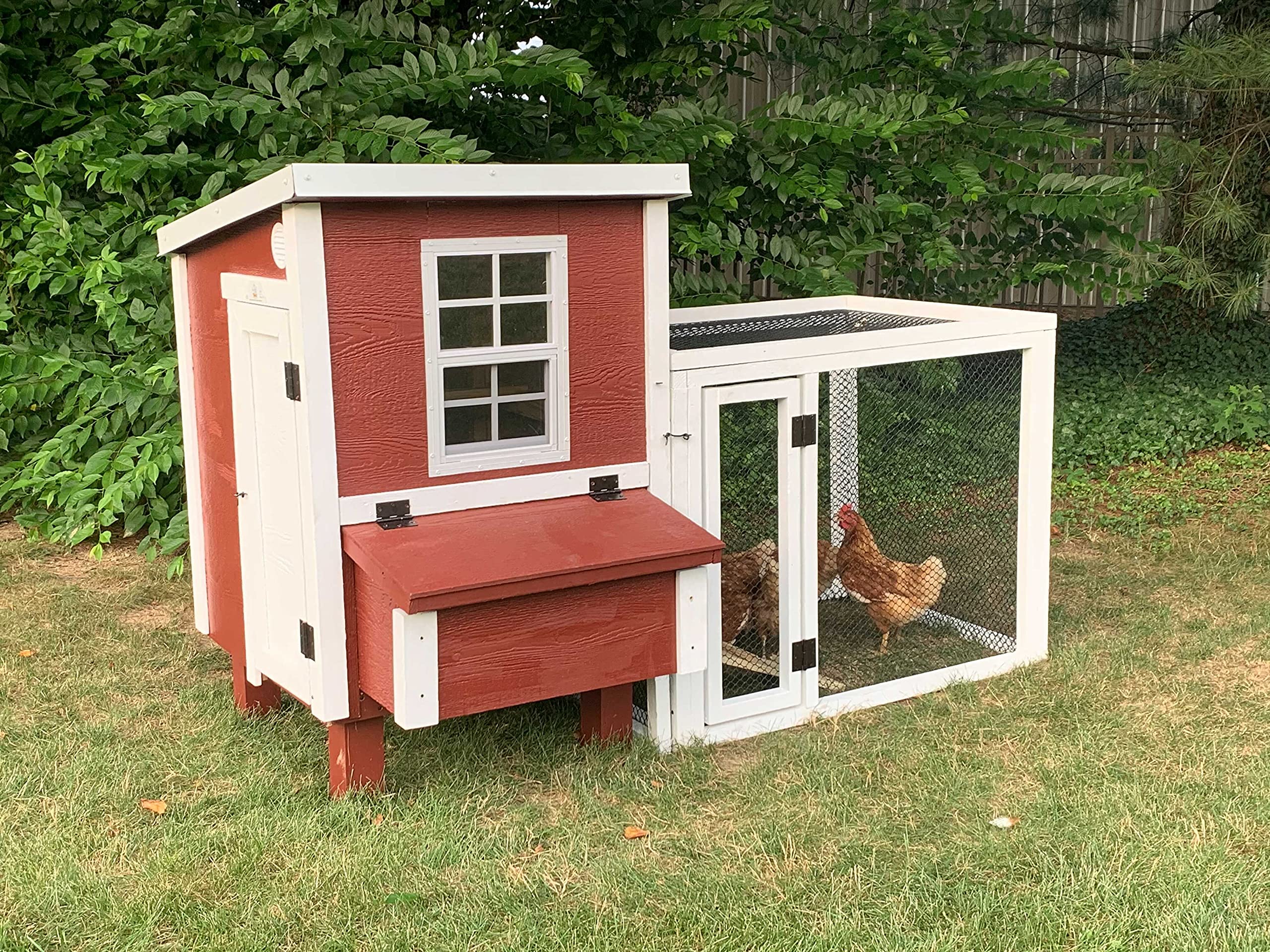 Buy OverEZ Coop in A Box for up to 5 Chickens with Nesting Box - Large