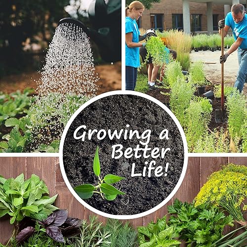 Miniatura 4 de Inoculante en polvo de legumbres  Inoculante de semillas de cultivos para semillas de legumbres  Bolsa de 2.5 onzas  Inoculante en polvo para