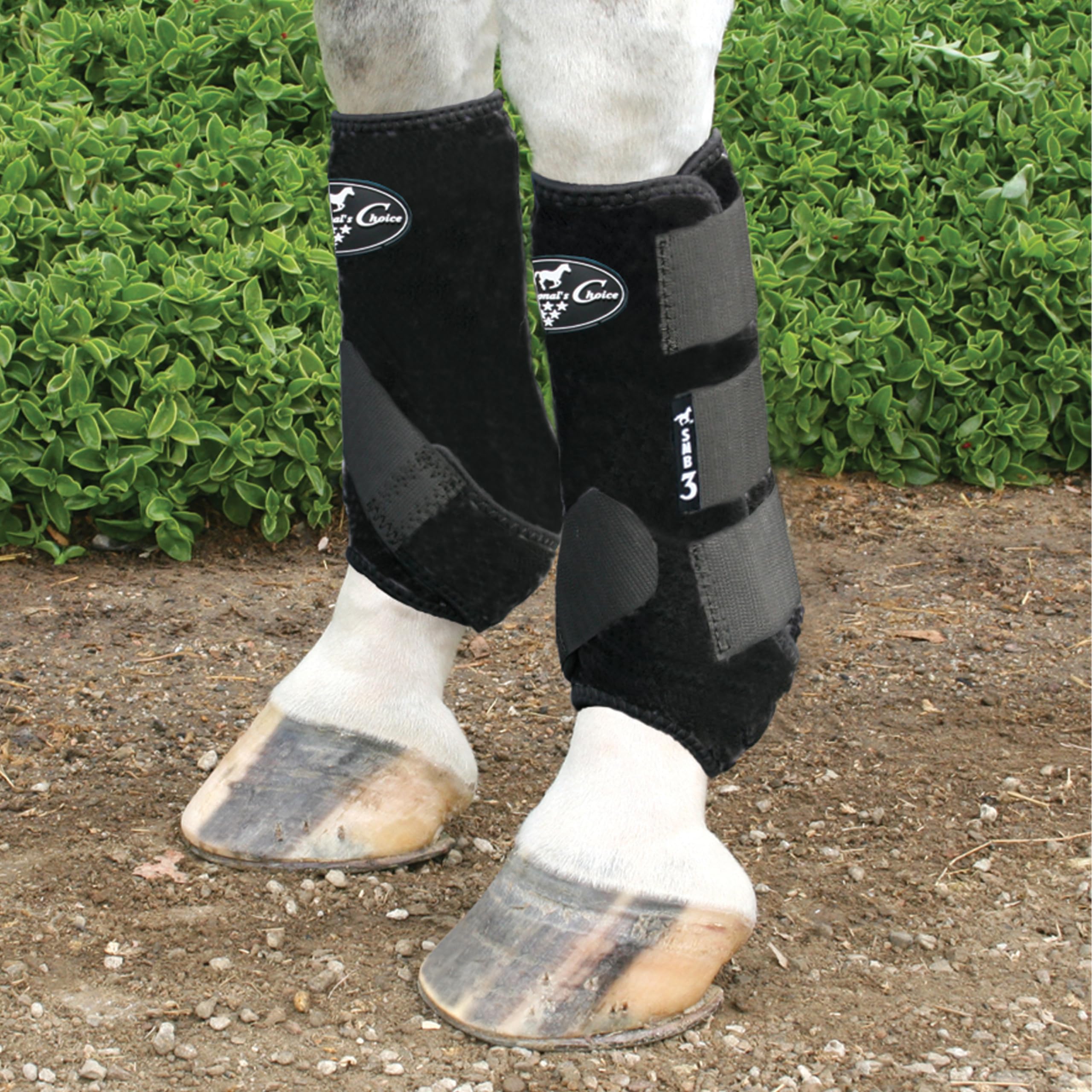 Professionals Choice Equine - Botas de Neopreno para Medicina Deportiva, par