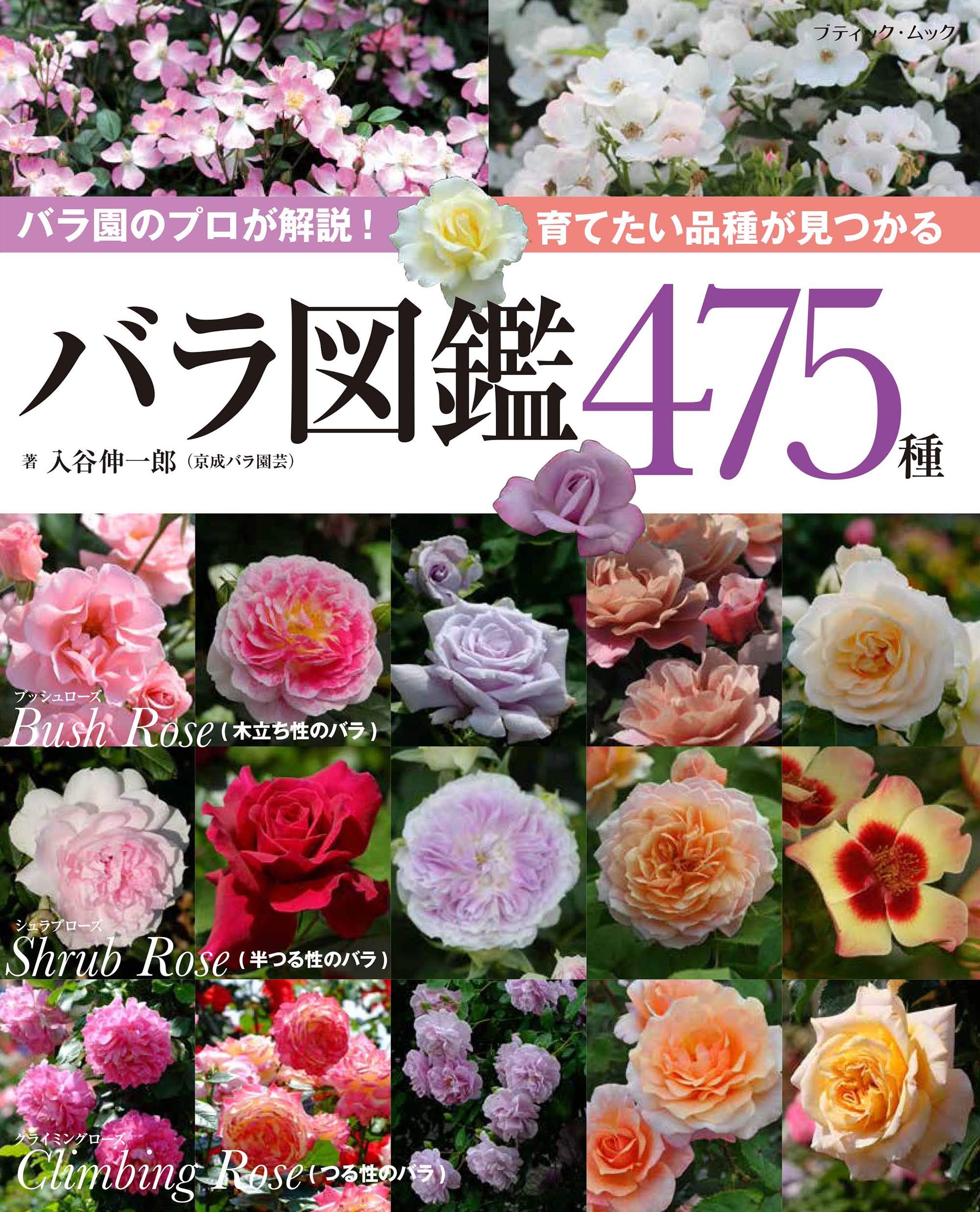 バラ図鑑475種 ブティック ムックno 1466 入谷 伸一郎 本 通販 Amazon