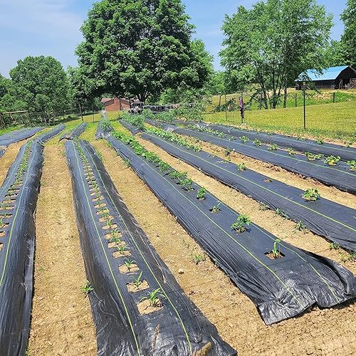 Miniatura 5 de Tela de barrera de malezas duradera de 6 x 100 pies, tela de jardinería resistente de 3.2 onzas, cubierta de suelo permeable para jardín, césped y