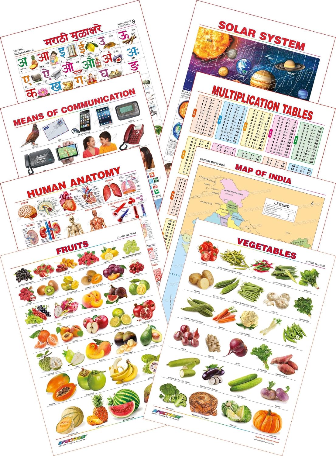 Buy Spectrum Educational Mini Wall Chart (Set of 8) : Set 23 ( Marathi ...