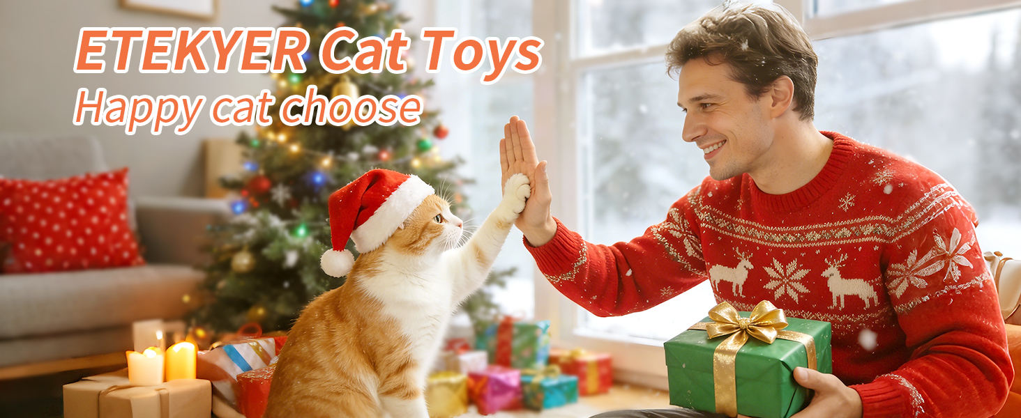 Amazon.com : ETEKYER 5Pcs Catnip Cat Toys for Indoor Cats Kitten