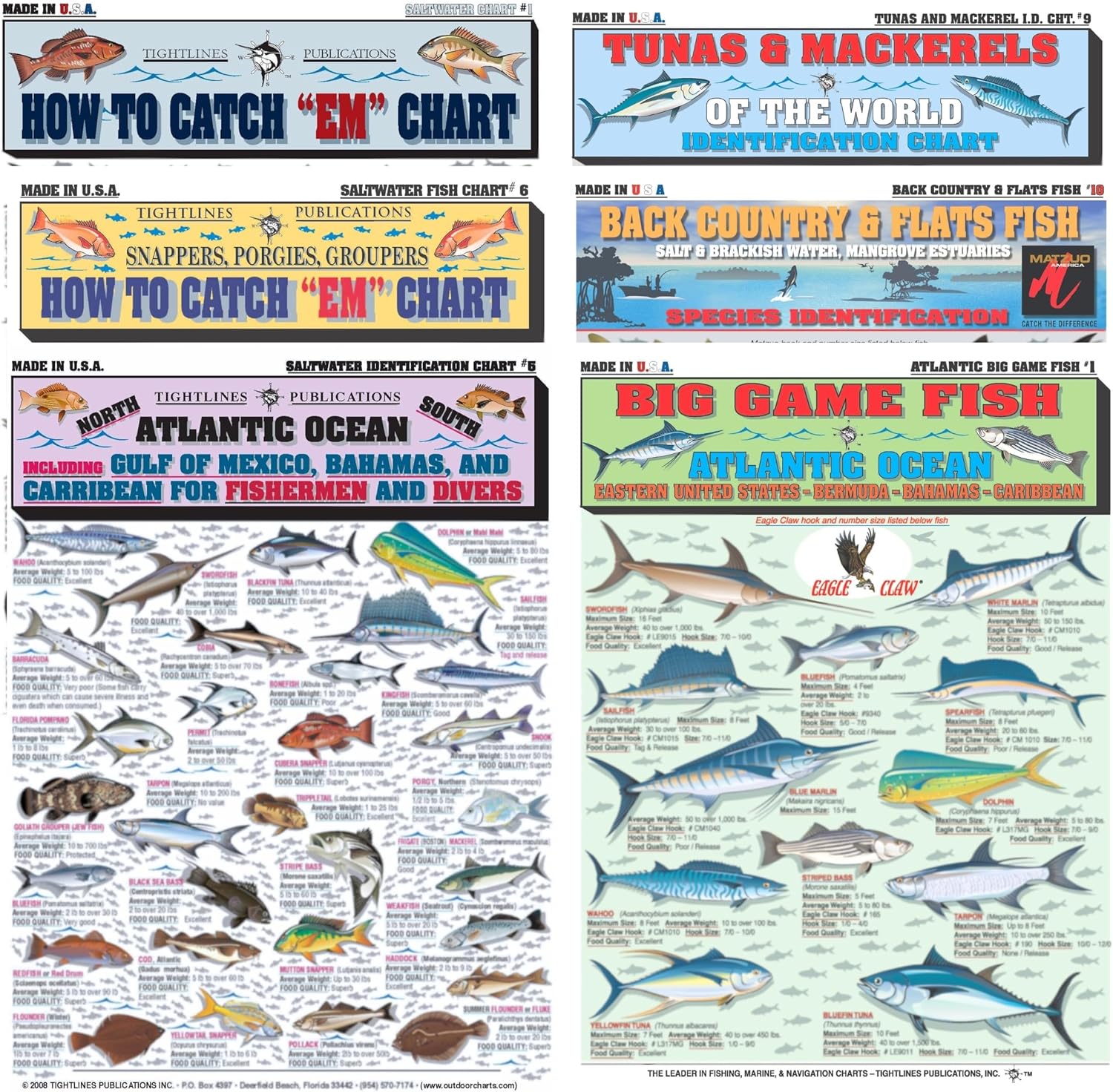 Florida Saltwater Fish Identification Chart Set - Waterproof Quick Reference Fishing Guides - 80+ Species ID - Double-Sided & Easy to Read - Great Gift for Beginners