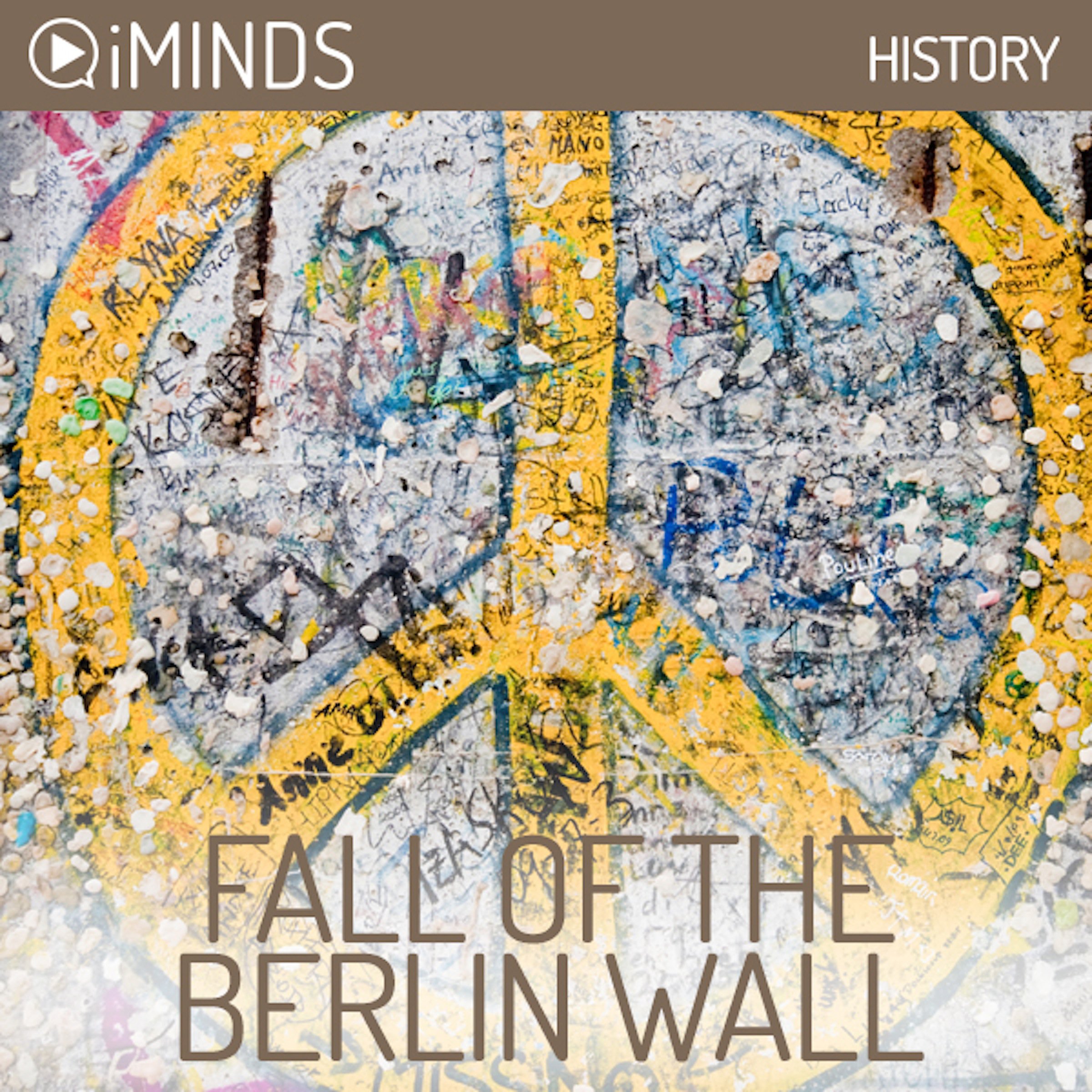 Cover art for Fall of The Berlin Wall