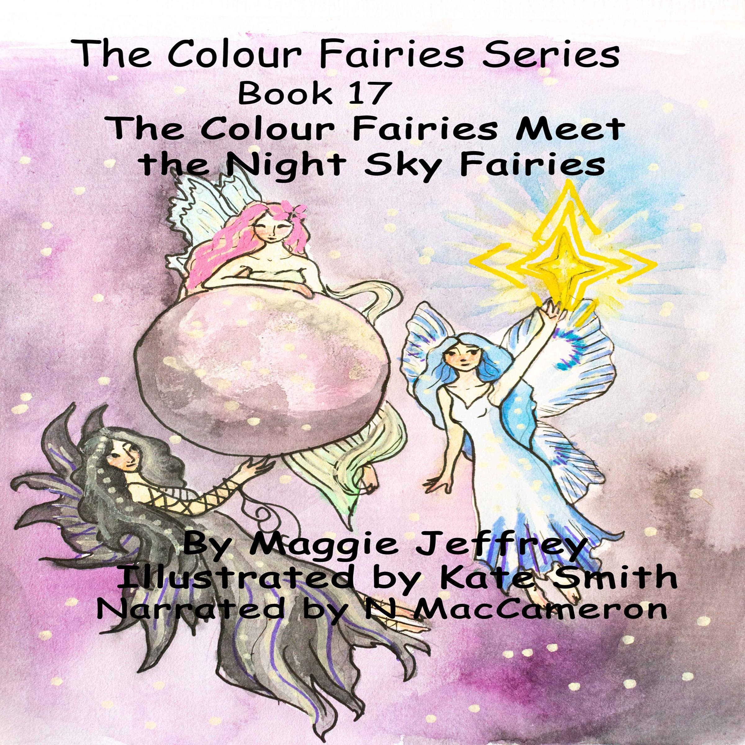 Cover art for The Colour Fairies Meet the Night Sky Fairies