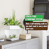 Vista 5 de Back to the Roots Jardín hidropónico de interior – Maceta de riego automático de 3 galones, sin desorden para hierbas, microverdes, bambú
