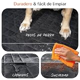 Ver la foto 5