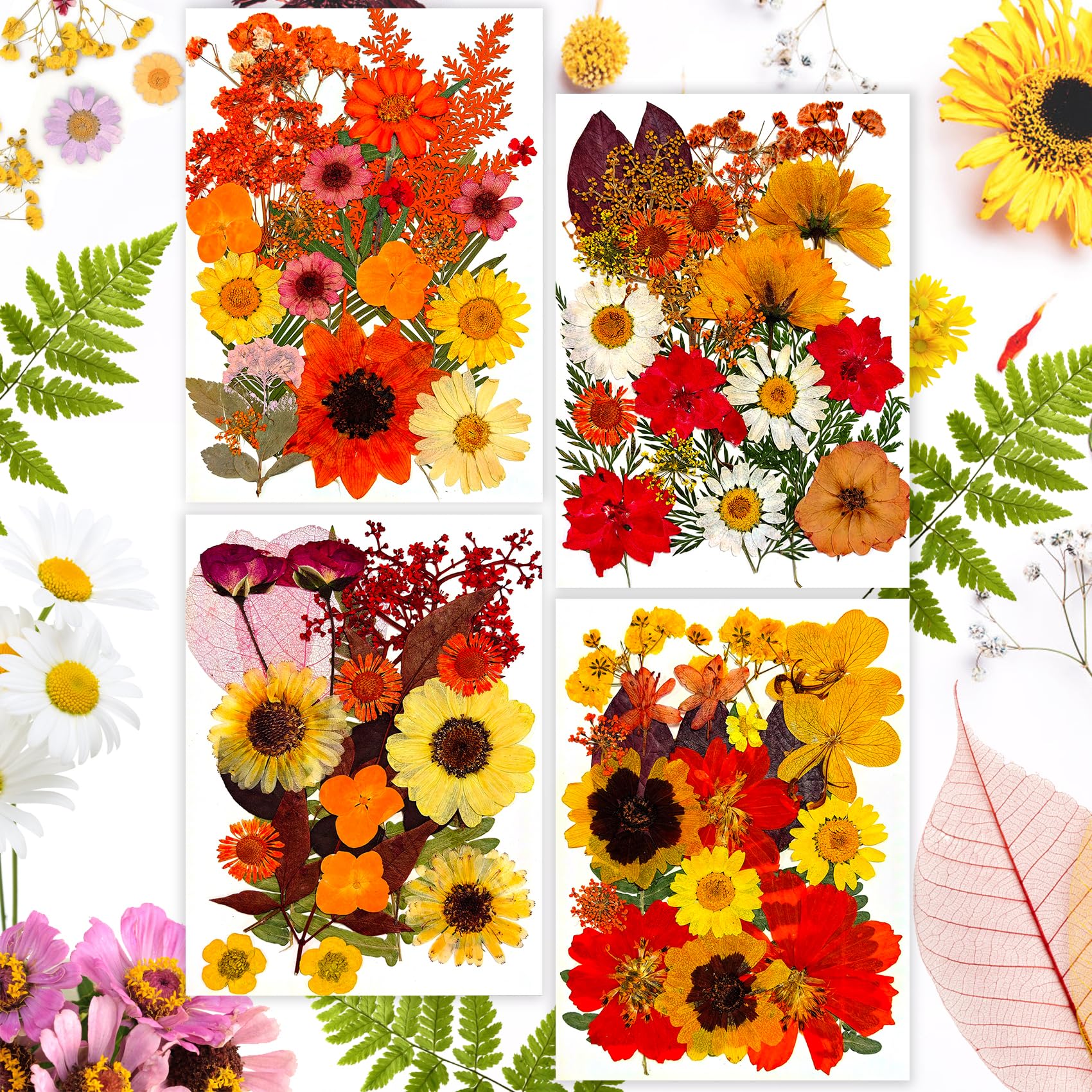 Gepresste Blumen, 92 Stück Natürliche Getrocknete Blumen, DIY Getrocknete Blüten zum Basteln, Gemischte Getrocknete Blätter Gänseblümchen für DIY Kerzen Harz Schmuck Nagel Kunst Blumen Dekoration