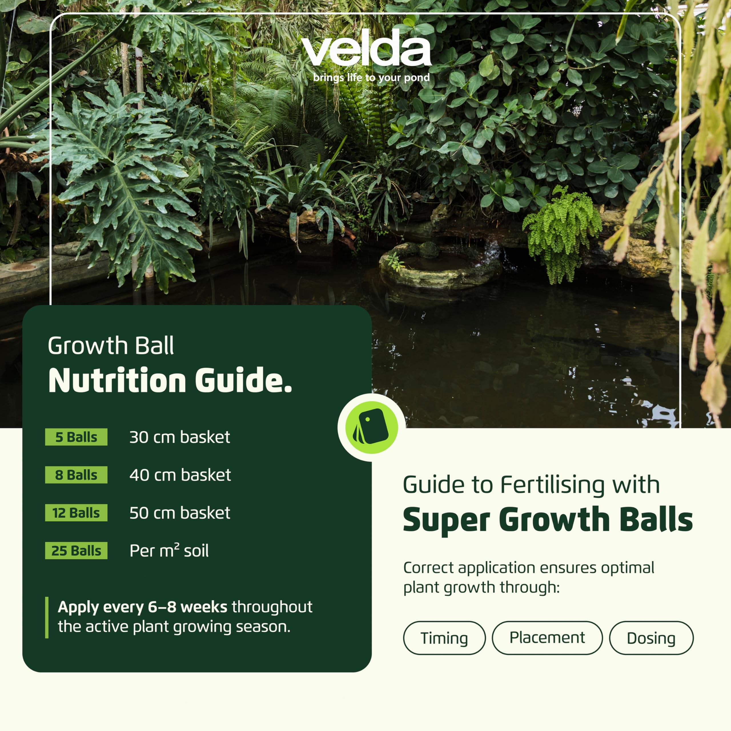 Velda 122256 Super Super abono de crecimiento para las plantas acuáticas, 55 bolas pelotas XL