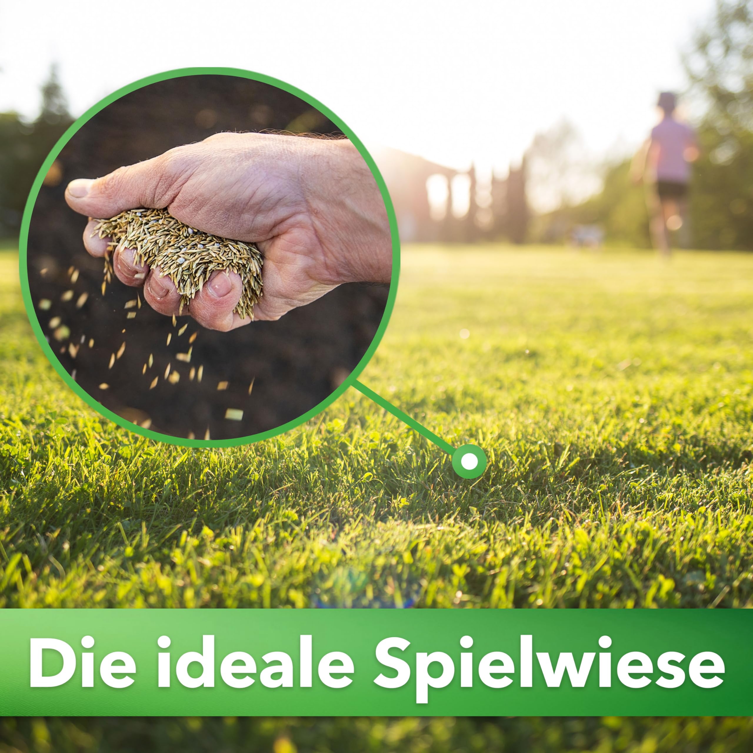 Hesa Gebrauchsrasen 1 kg für 40 m², RSM 2.3, schnellkeimende Premium Rasensamen Sport- und Spielrasen, Grassamen strapazierfähig und robust in Profiqualität