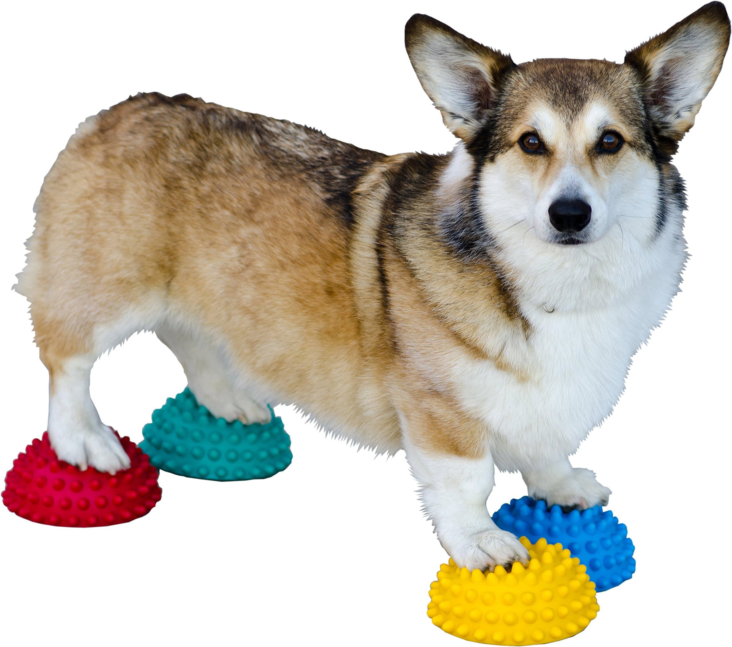 Dog Copenhagen Paw Pods with Non-Slip for Dogs