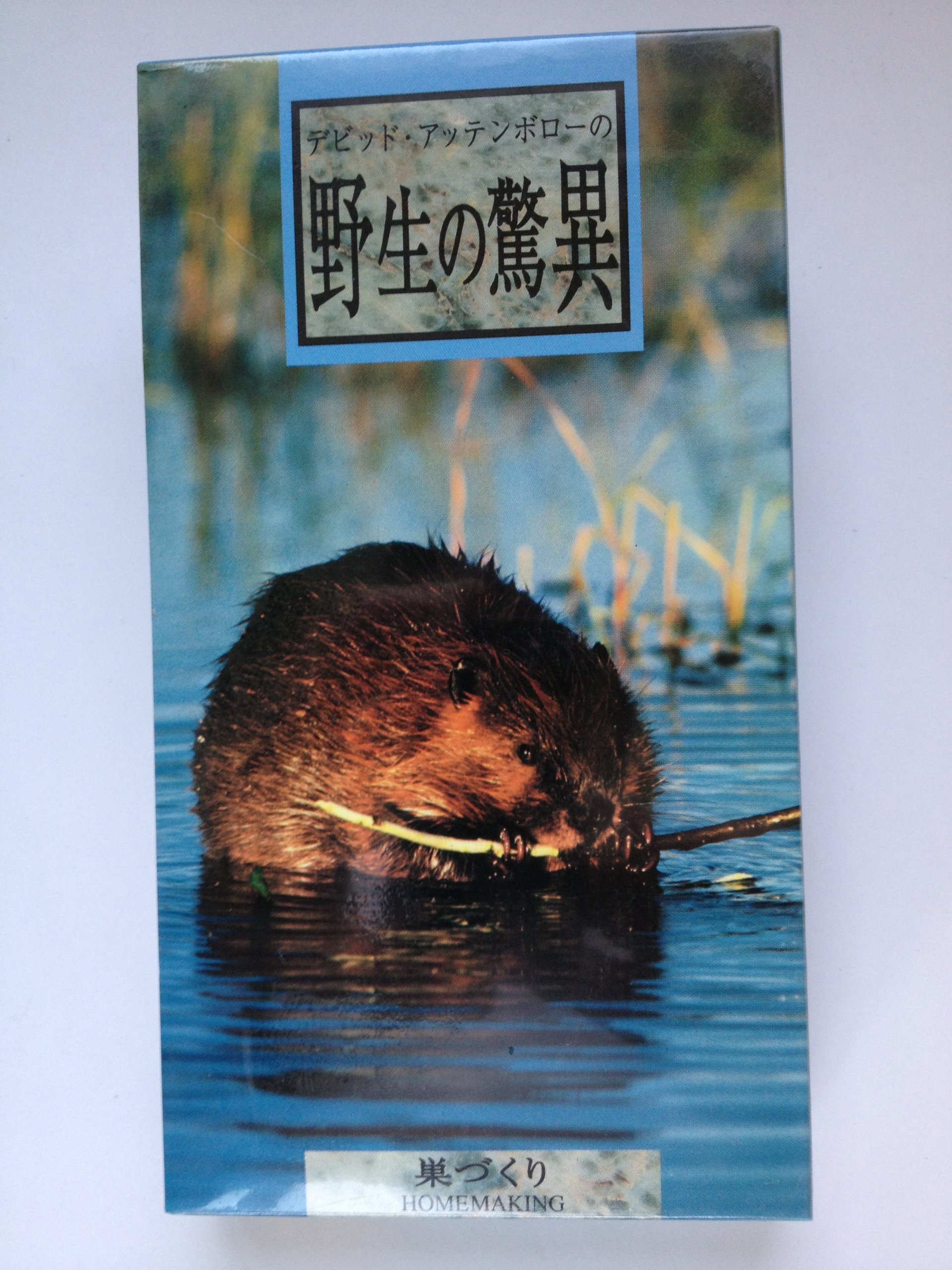 デビッド アッテンボローの野生の驚異 巣づくり ビデオ Vhs The Trials Of Life デビッド アッテンボロー 総監督 ピーター ジョーンズ タイムライフ 本 通販 Amazon