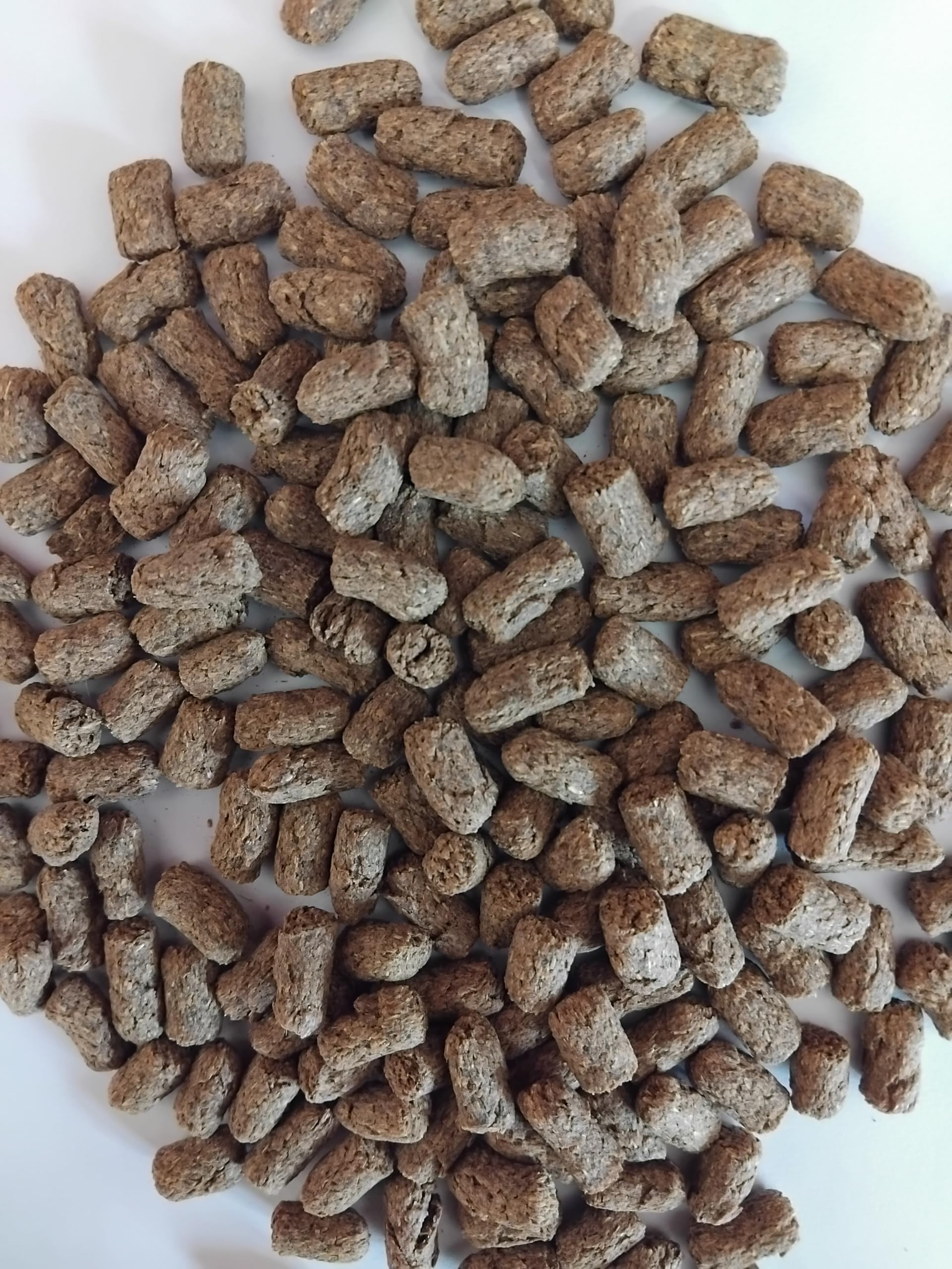 Premium Low Starch Tortoise Food Pellets for Spur-Thighed tortoise (Testudo Graeca Ibera)1kg