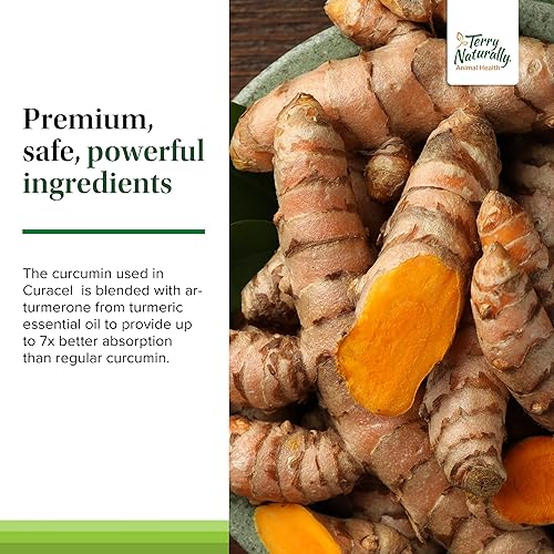 Miniatura 5 de Terry Naturally Curacel Curcumin - Suplemento de salud para perros - Suministros de curcumina para mascotas - Suplemento de salud celular