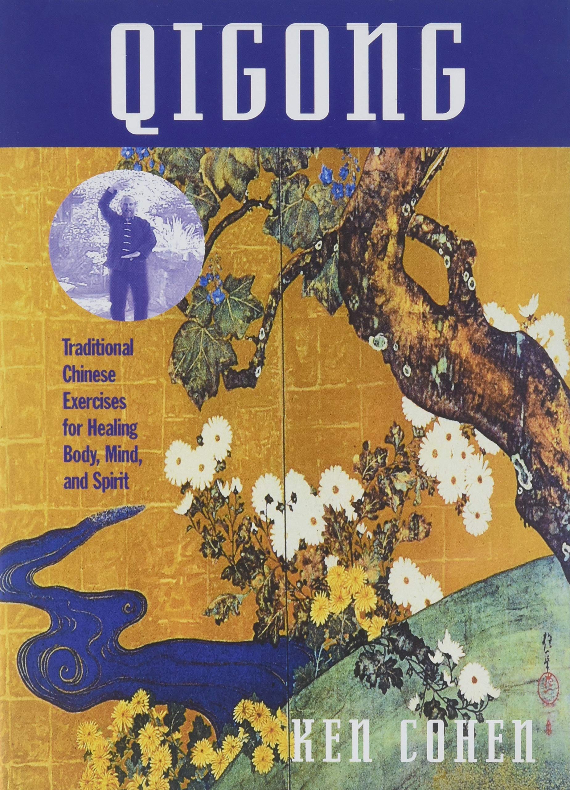 Qigongtraditional Chinese [DVD]