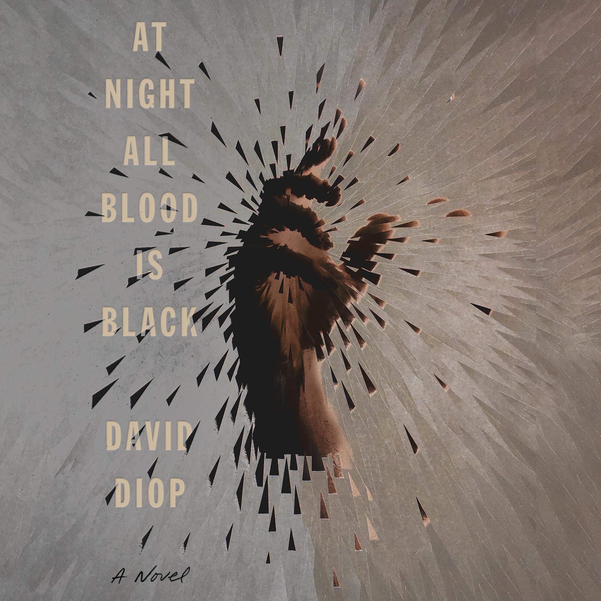 Cover art for At Night All Blood Is Black