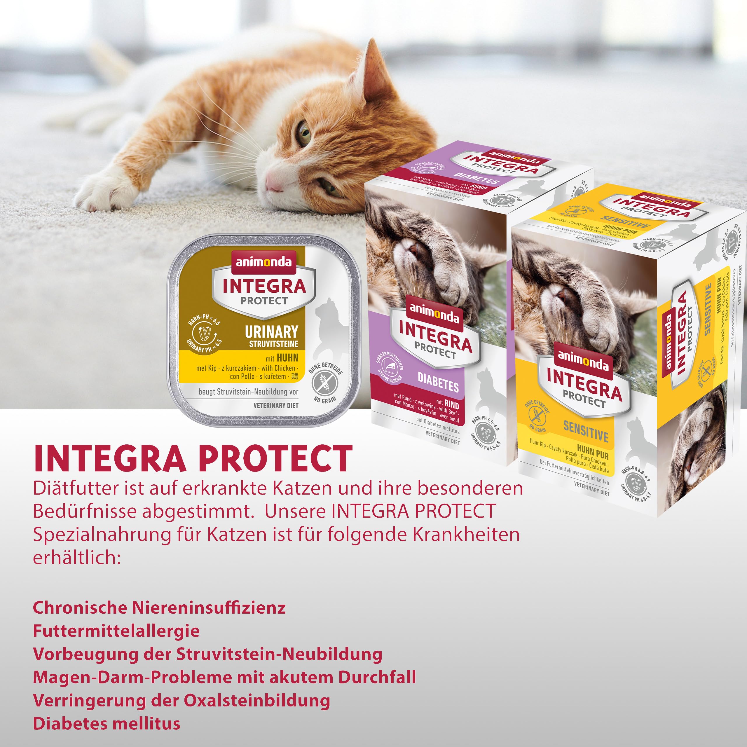 Animonda INTEGRA Protect Nourriture Humide pour Chat Renal Dinde Pur (6 x 100 g), recommandée par Le vétérinaire en Cas d'insuffisance rénale, complément Alimentaire développé avec des vétérinaires
