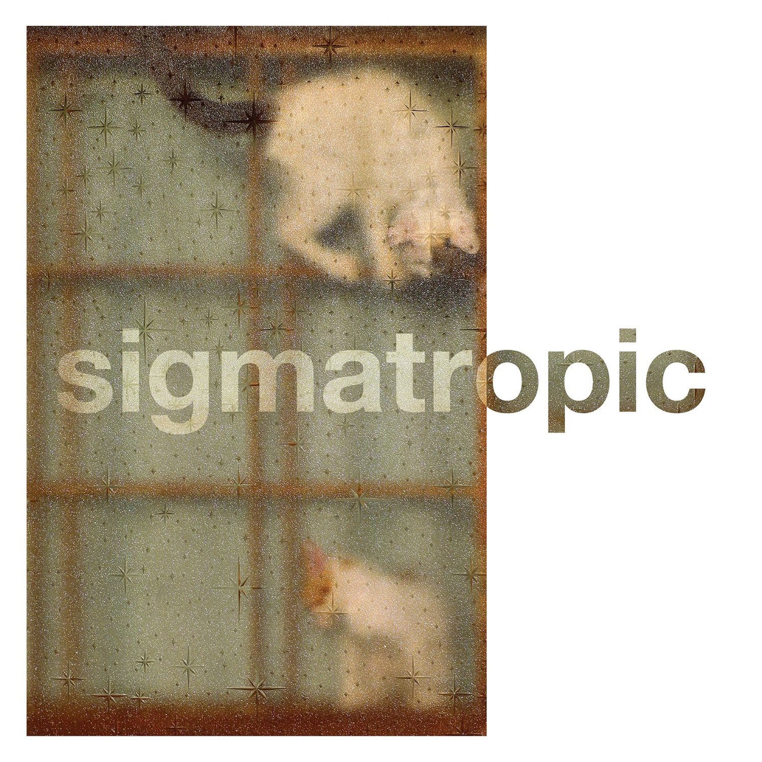 Sigmatropic Every Soul Is A Boat 12 Inch Vinyl NEW