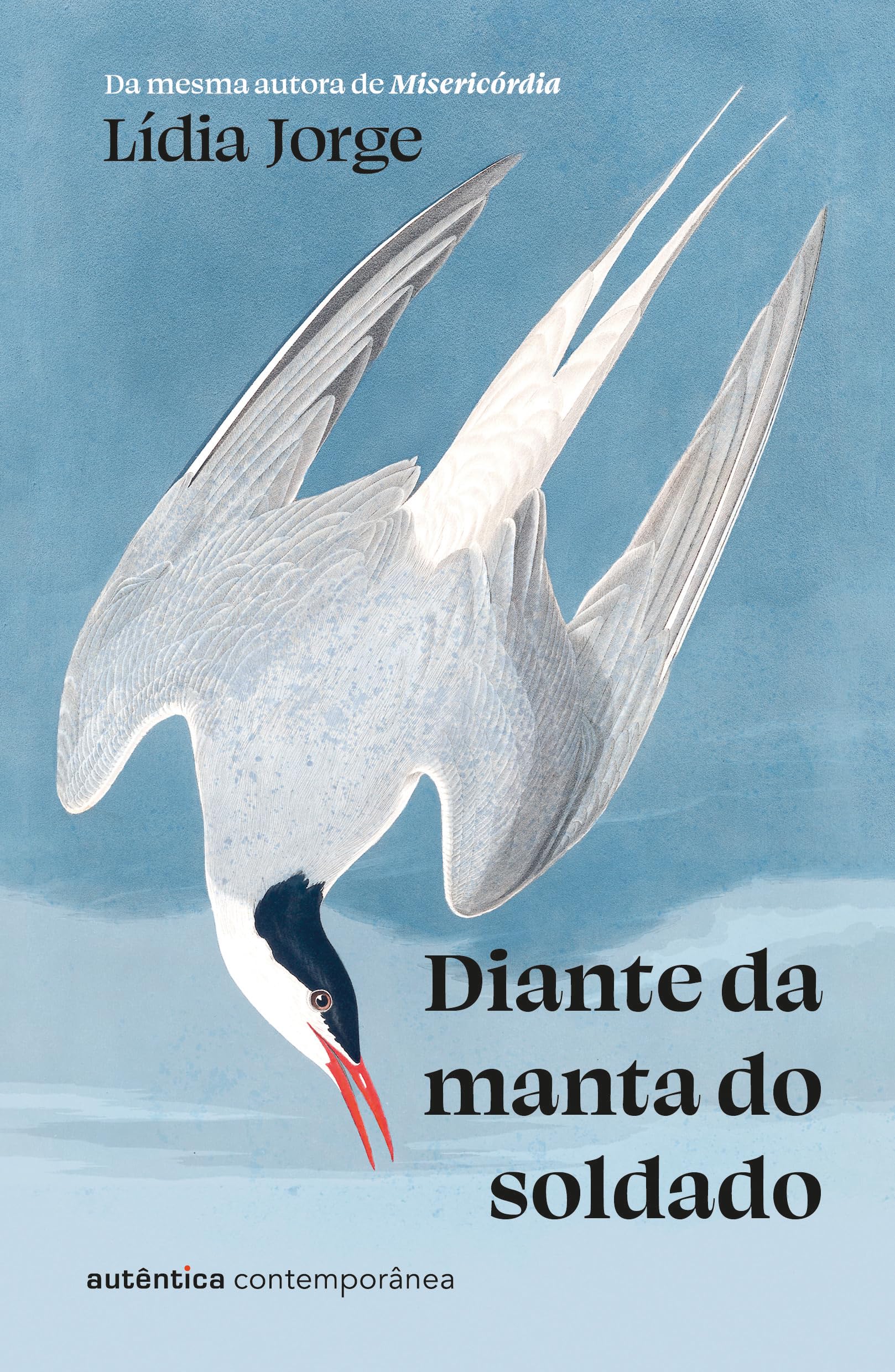 Diante da manta do soldado (da mesma autora de Misericórdia