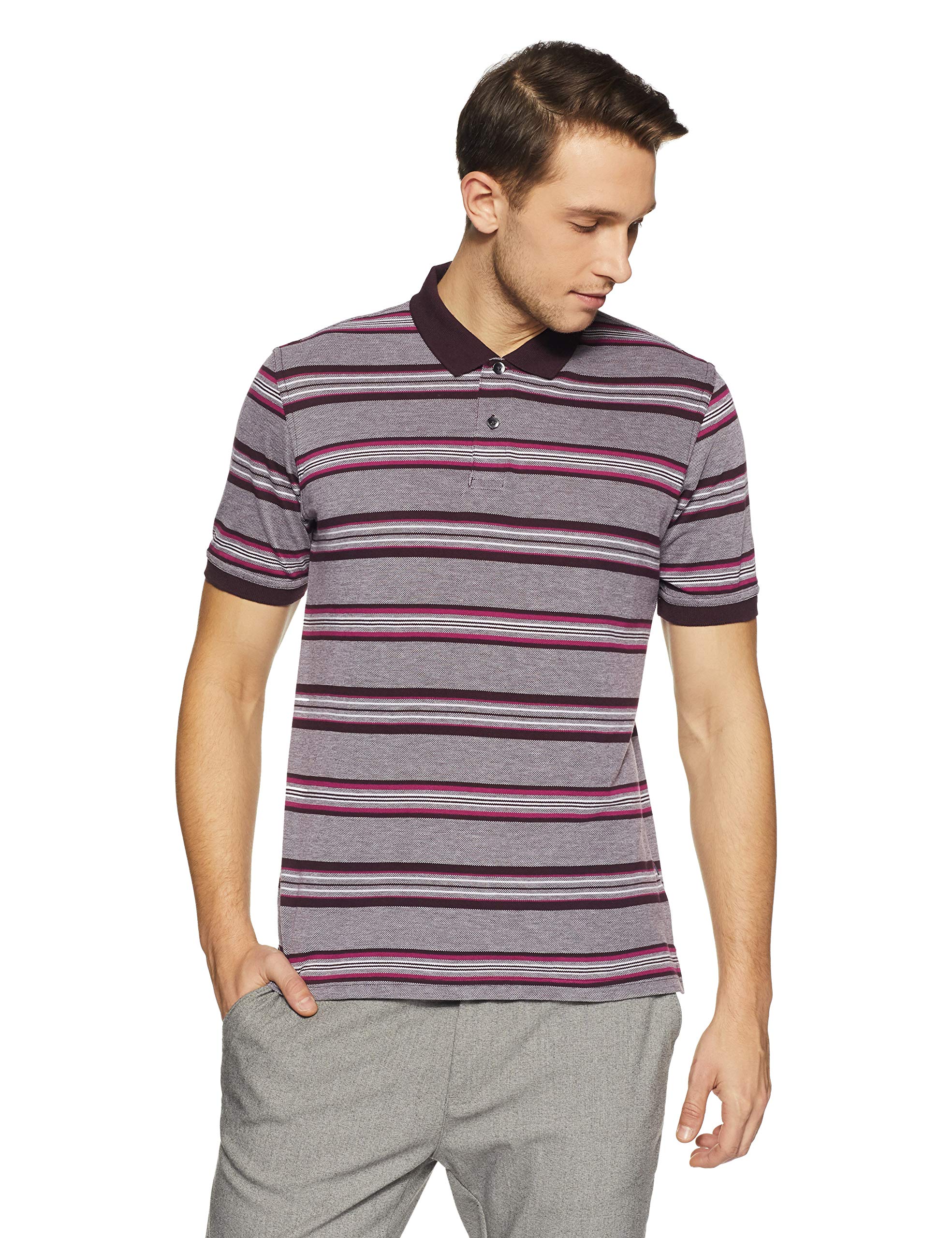 Peter England Men's Striped Regular Fit Polo