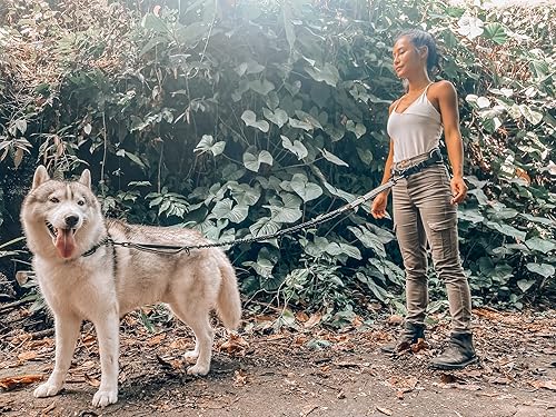 Miniatura 9 de Tuff Pupper Correa de perro resistente manos libres Un perro grande de hasta 125 libras Cómodo elástico absorbente de golpes Asas acolchadas