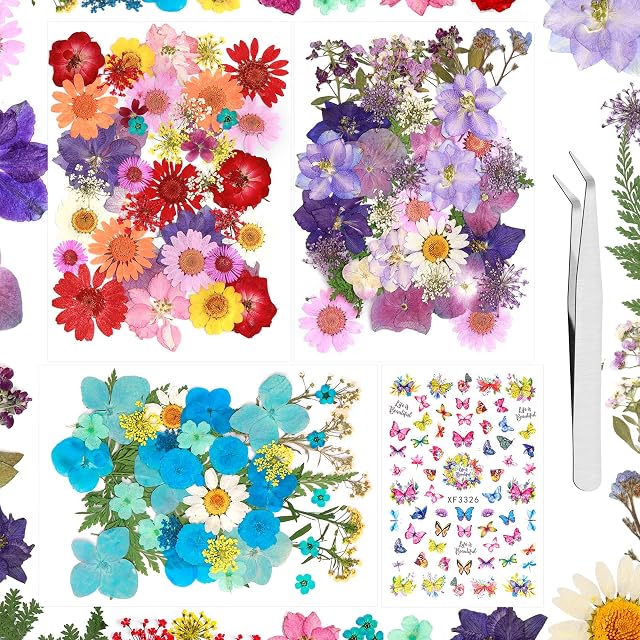 Real Dried Pressed Flowers for Resin - 188 PCS Natural Dried Flowers Mixed Pressed Daisies Dry Flower Resin Art Butterfly Nail Stickers