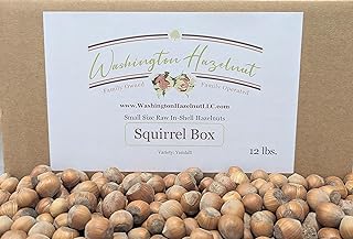 Raw, small size in-shell Hazelnuts grown in our family's orchard. 12 pound squirrel box.