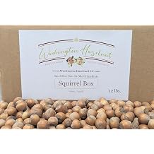 Hazelnuts in shell, Raw or roasted. Grown in our familys orchard in Washington state. Raw, 12 pound Squirrel Box