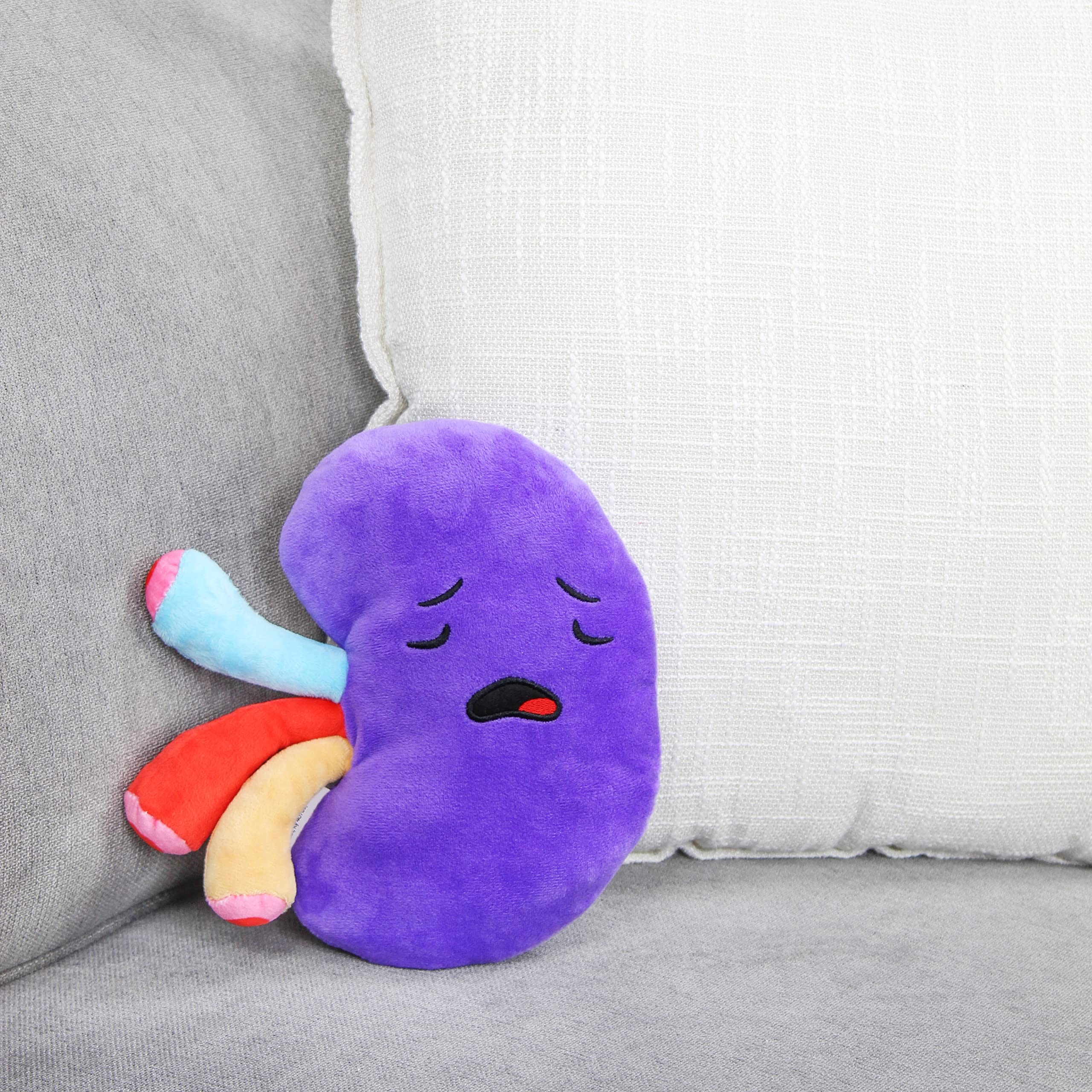 kidney soft toy