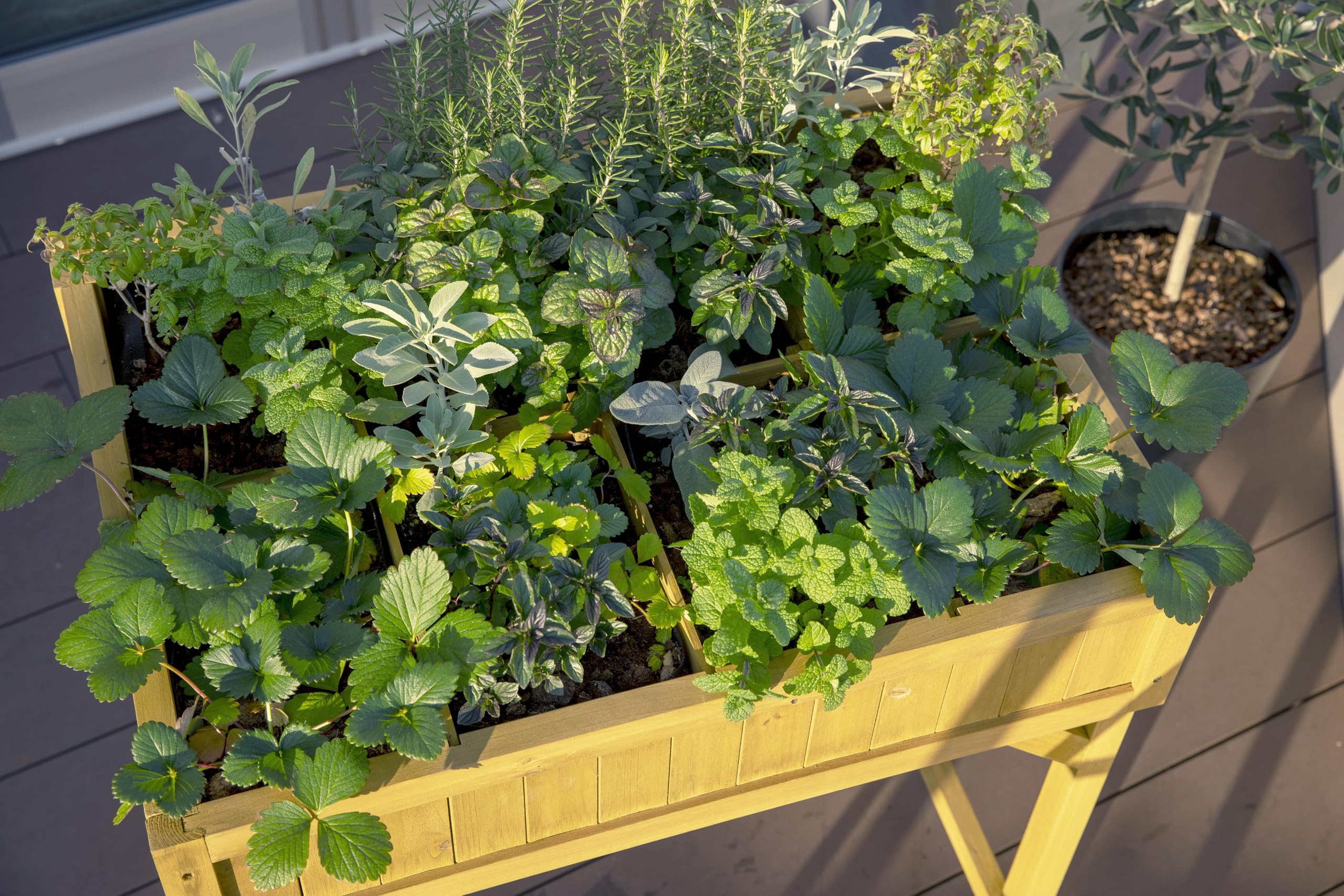 Vegtrug - Mesa de Cultivo, Incluye Compartimentos para Plantas // 80 x 78 x 58 cm (Largo x Prof. x Alto)