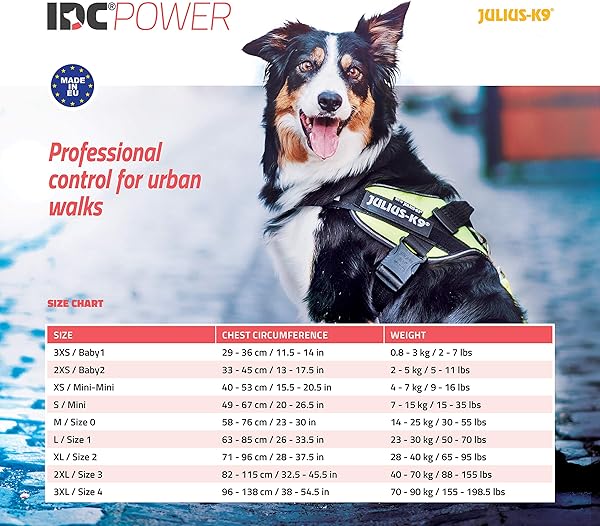 Julius-K9, 16IDC-AM-M, IDC Powerharness, dog harness, Size: Mini, Aquamarine - 5