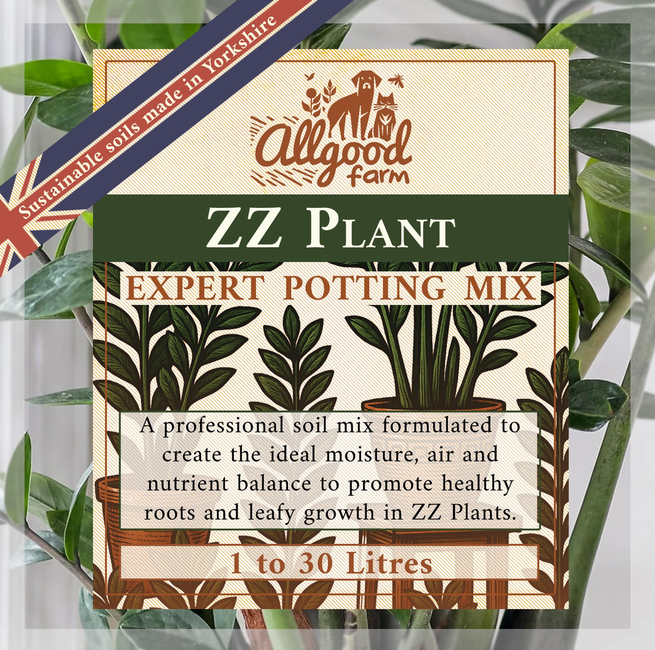 Allgood Farm ZZ Plant Soil - Expert Potting Soil Mix for Zamioculcas zamiifolia, Zanzibar Gem, Emerald Palm (3 Litres)
