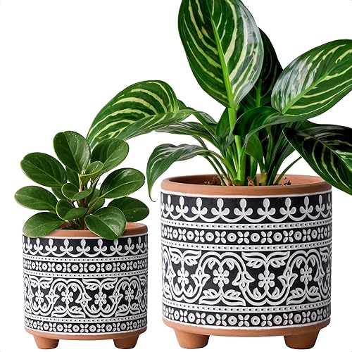 Miniatura 8 de D'vine Dev Juego de 2 macetas de terracota, 4 y 6 pulgadas, maceta de diseño con orificio de drenaje, tejido de medianoche, terracota/negro
