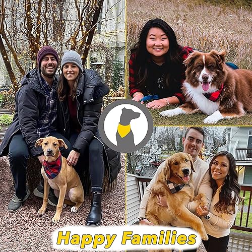 Miniatura 6 de Bandana para perro, paquete de 4, bandanas para perros niños, niñas, tela ligera y duradera de alta calidad, bufanda a cuadros para perros medianos