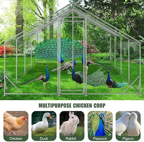Miniatura 35 de Gallinero de metal grande mejorado de 10 x 26 x 6.6 pies con corrido para 30 pollos, corridos de pollo para patio con cubierta para resistente al