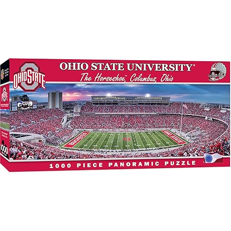 NCAA Unisex Gator Eyes Stadium Panoramic Jigsaw Puzzle, 1000-Piece
