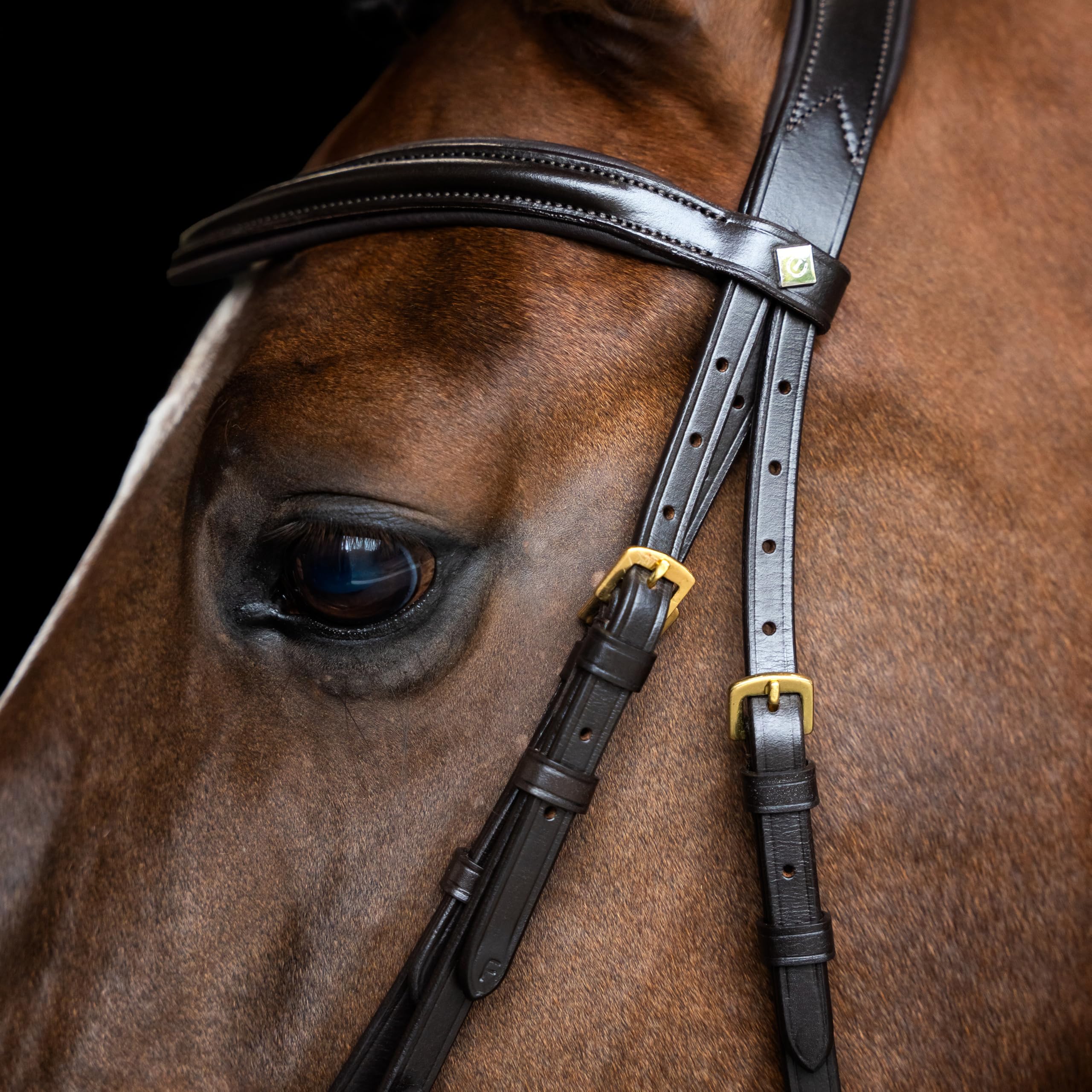 Imperial Riding Briglia IRH combina Sleek, Cavezza Inglese con Collo ergonomico e Cinghia di bloccaggio Rimovibile, Marrone, COB