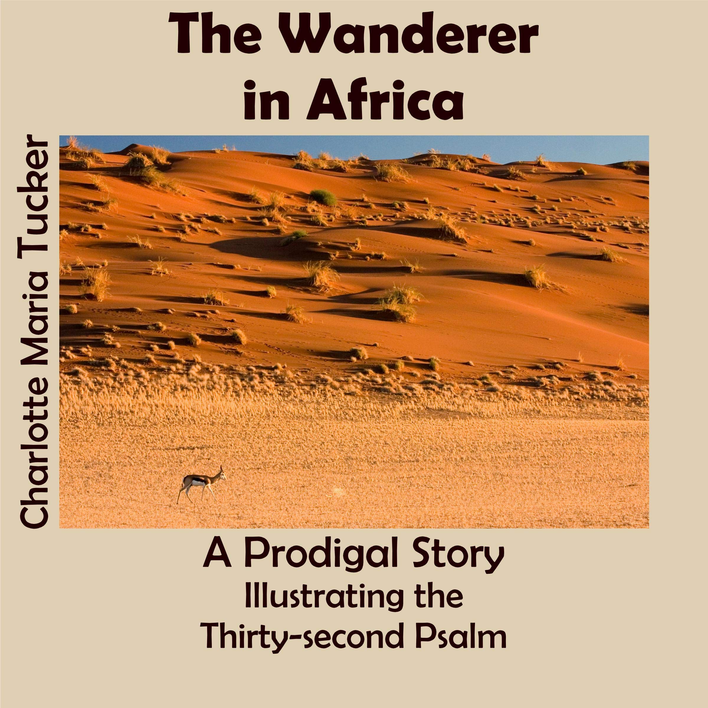 The Wanderer in Africa
