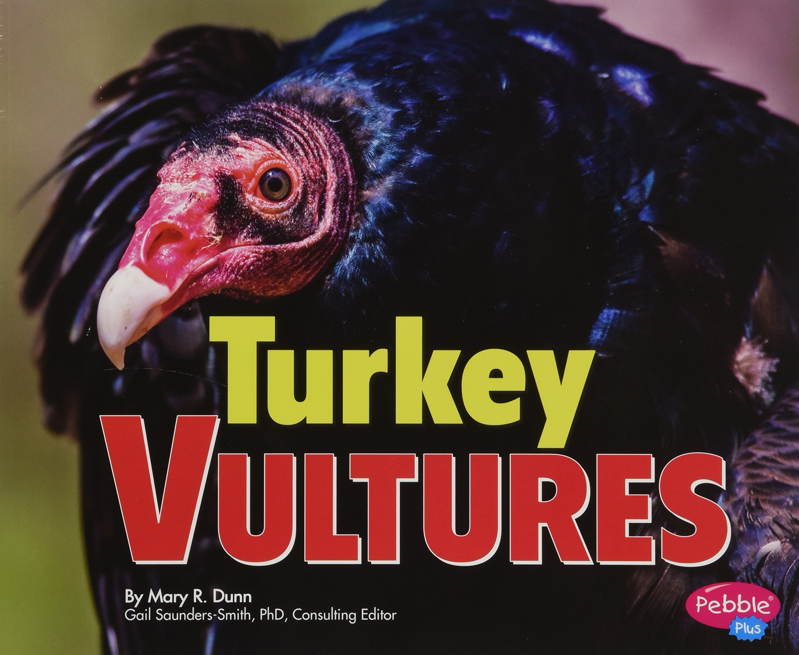 Turkey Vultures (Birds of Prey)