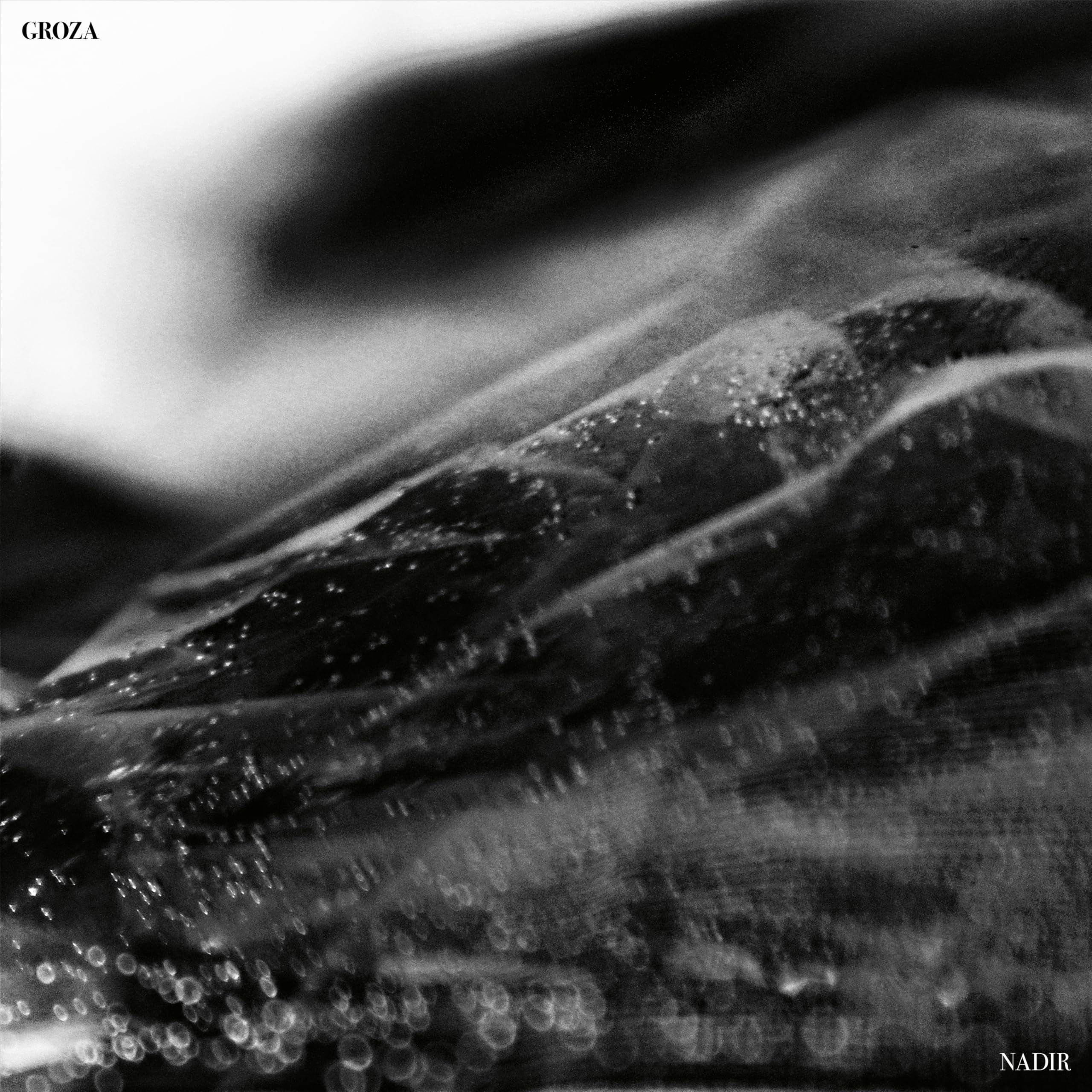 Nadir [VINYL]