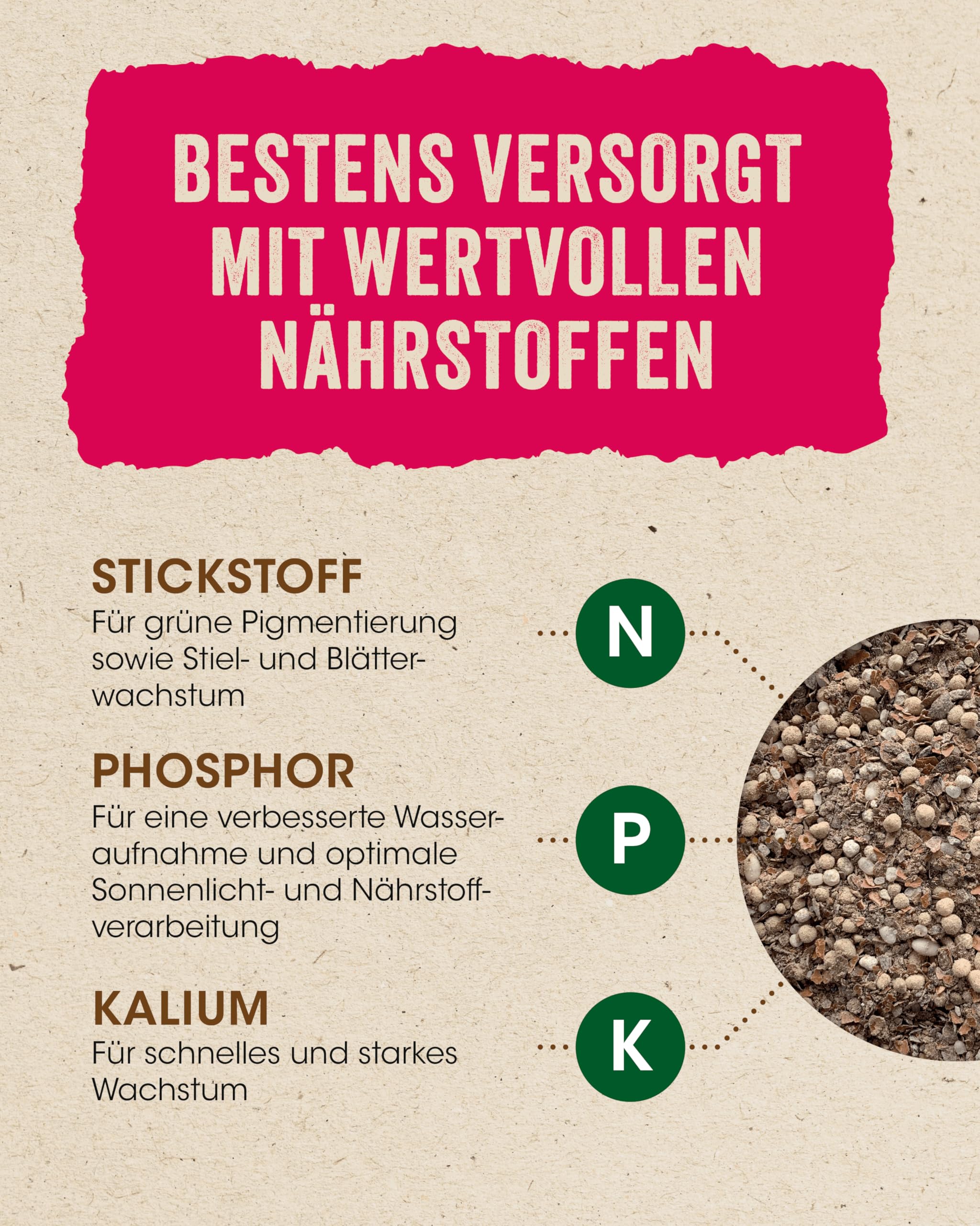 Allflor Rosen-Dünger 2 x 2,5 Kg in der Faltschachtel I Rosendünger mit organisch-mineralischer Nährstoffkombination und spezieller Rosen-Formel I NPK-Dünger 5+7+4 plus Magnesium