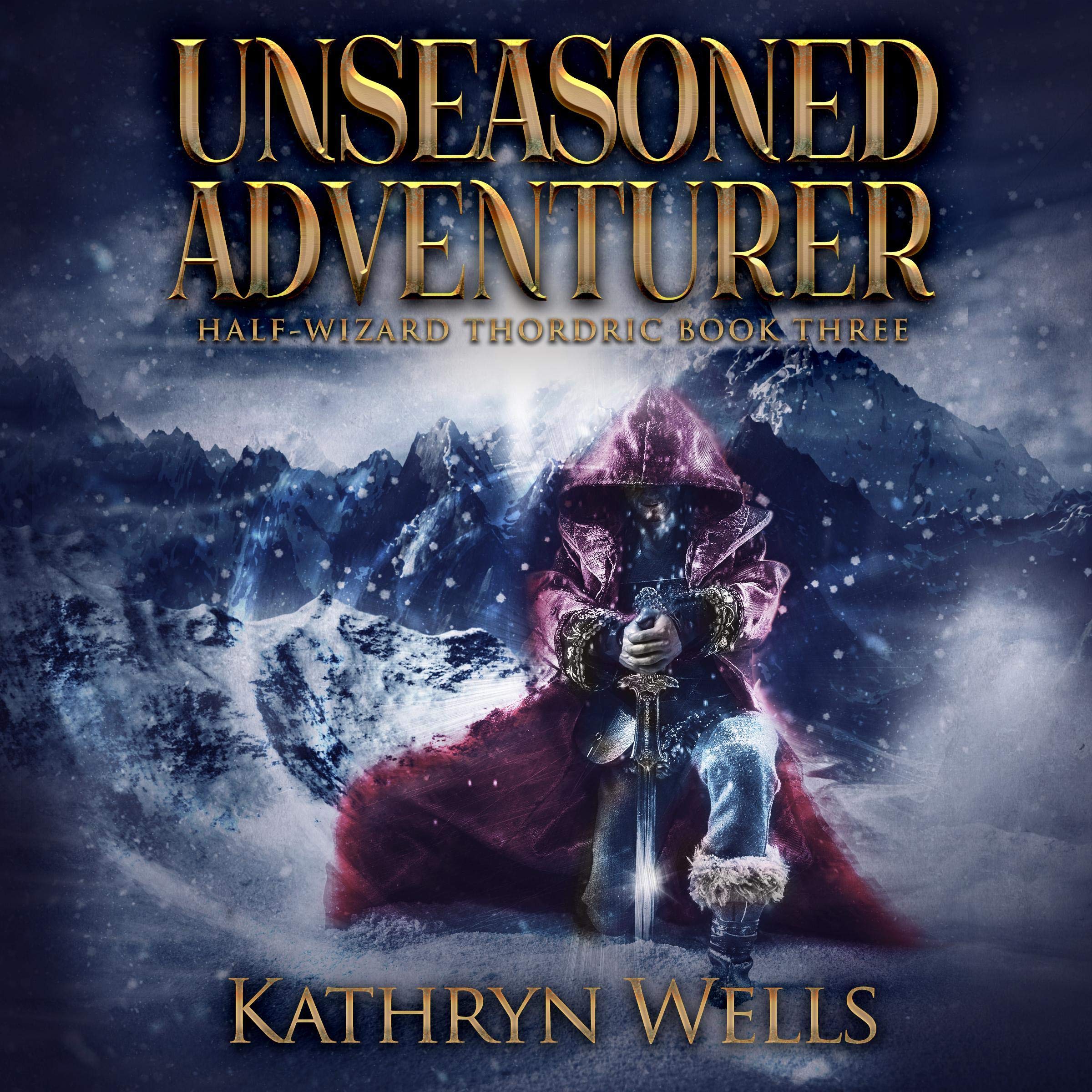 Cover art for Unseasoned Adventurer