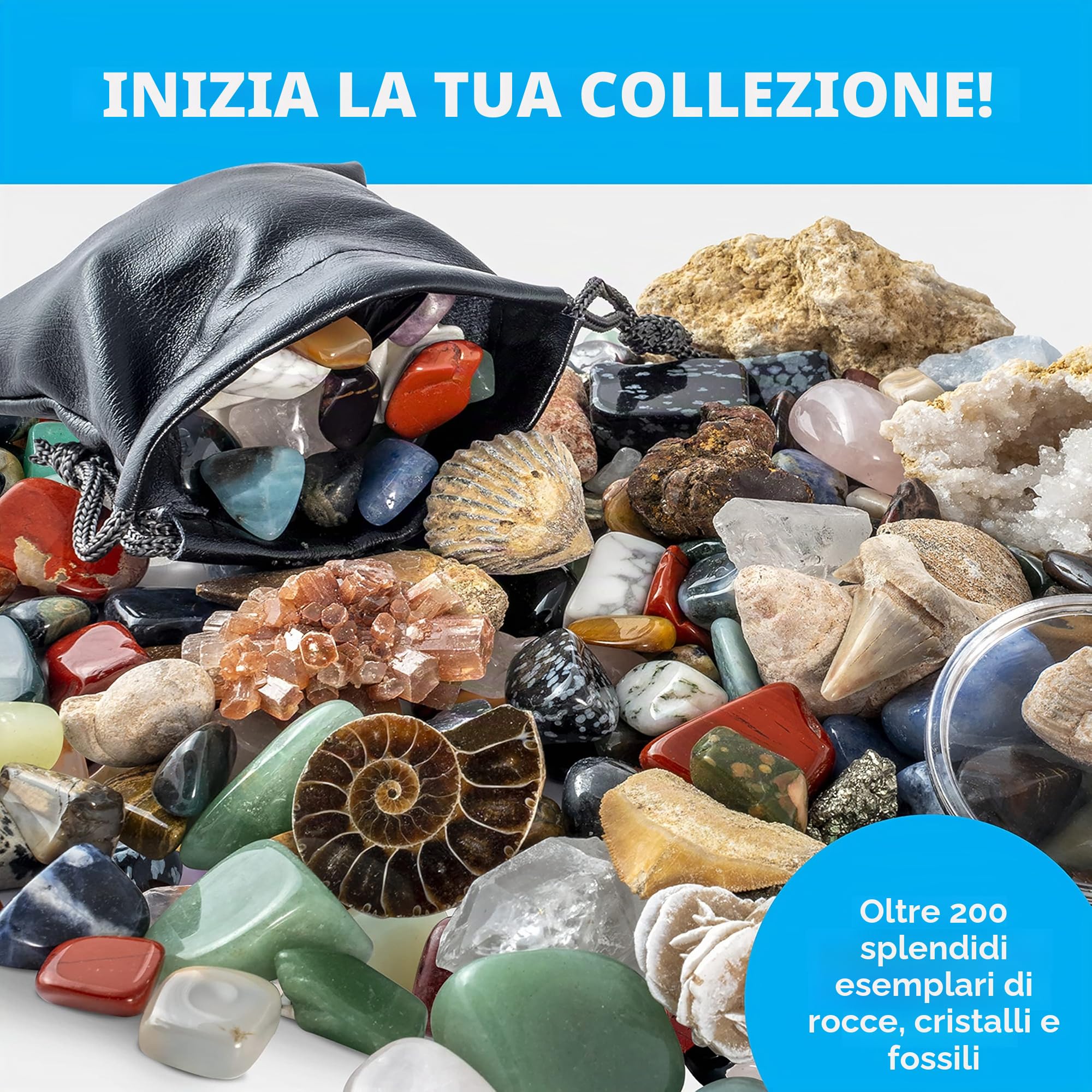 National Geographic - Kit di rocce e fossili – Una raccolta da 200 pezzi che comprende geodi, fossili veri, quarzo rosa, diaspro, avventurina e altre rocce, cristalli e pietre preziose