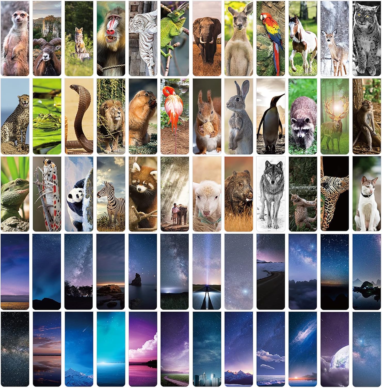 60PCS Bookmarks,120 Styles Cute Wild Animal