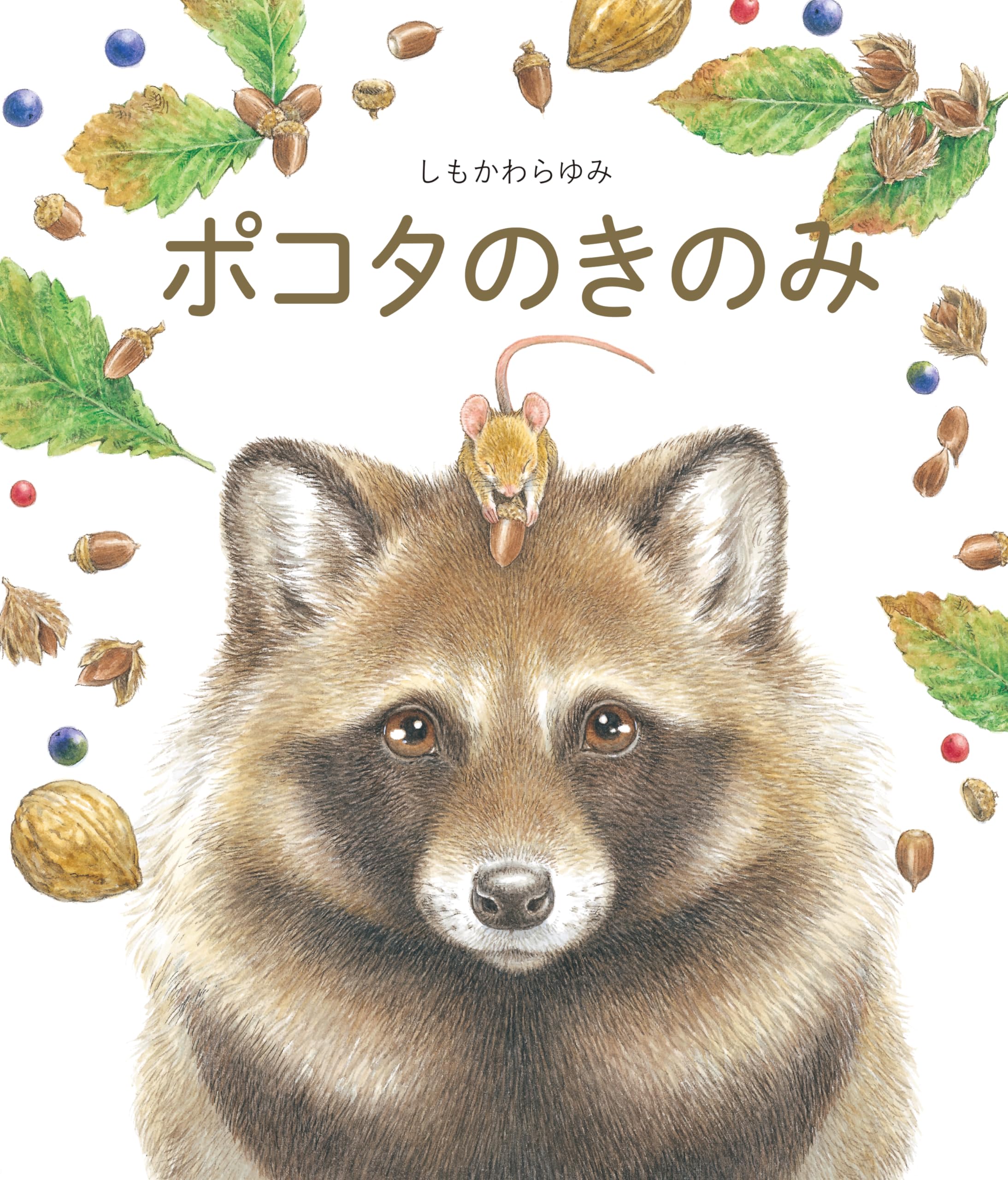 Amazon.co.jp: ポコタのきのみ : しもかわら ゆみ: 本